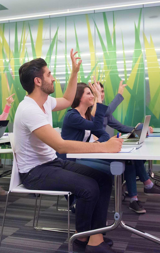 Online Study Classroom Riselead